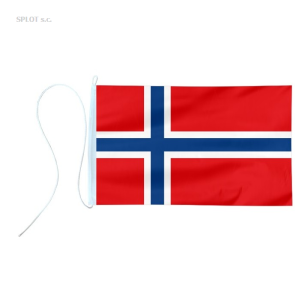 Bandera 20x30 Norwegia